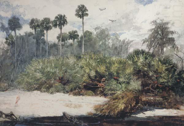 Winslow Homer In a Florida Jungle (mk44) china oil painting image